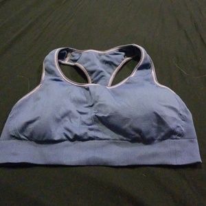 Blue/Gray Champion Sports Bra